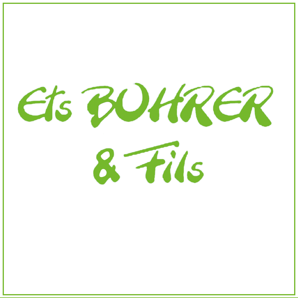 Logo entreprise bohrer et fils habsheim entreprise de pavage et paysagiste