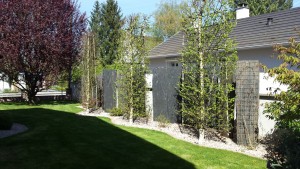 entreprise paysagiste entretien blotzheim