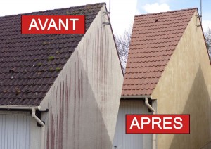 entreprise toiture nettoyage moselle