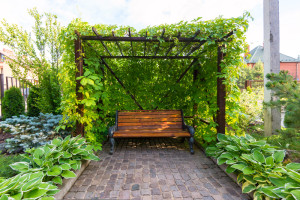 pose pergola bordeaux