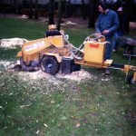paysagiste yvelines