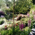 jardin paysagiste yvelines