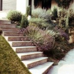 jardin paysagiste yvelines