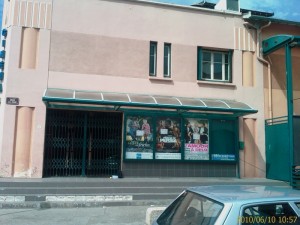 menuiserie diagnostic villeurbanne