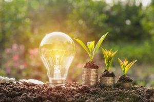 conseils professionnels energie verte economie